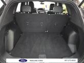 Thumbnail of 2023 Cinnabar Red Metallic Ford Escape