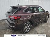 Thumbnail of 2023 Cinnabar Red Metallic Ford Escape