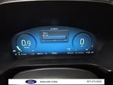 Thumbnail of 2023 Cinnabar Red Metallic Ford Escape