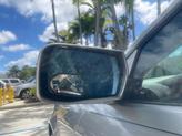 Thumbnail of 2006 Light Platinum Cadillac CTS