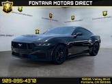Photo of 2024 SHADOW BLACK Ford Mustang