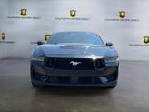 Thumbnail of 2024 SHADOW BLACK Ford Mustang