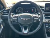 Thumbnail of 2026 Vik Black Genesis G70