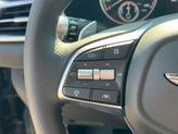 Thumbnail of 2026 Vik Black Genesis G70