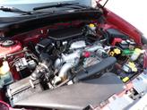 Thumbnail of 2010 Camellia Red Pearl Subaru Forester
