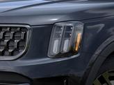 Thumbnail of 2025 Panthera Metal Kia Telluride
