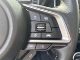 Thumbnail of 2019 Crystal Black Silica Subaru Forester