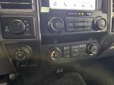 Thumbnail of 2019 Magnetic Ford F-150