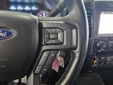 Thumbnail of 2019 Magnetic Ford F-150