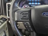Thumbnail of 2019 Magnetic Ford F-150