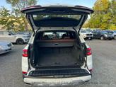 Thumbnail of 2023 Alpine White BMW X5