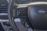 Thumbnail of 2019 Magnetic Ford F-250