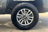 Thumbnail of 2019 Magnetic Ford F-250