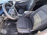 Thumbnail of 2024 Oxford White Ford Escape