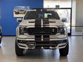 Thumbnail of 2025 White Ford F-150