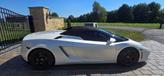 Thumbnail of 2011 Bianco Monocerous Solid Color (White) Lamborghini Gallardo