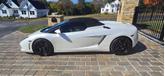 Thumbnail of 2011 Bianco Monocerous Solid Color (White) Lamborghini Gallardo