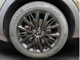 Thumbnail of 2021 Dark Moss Kia Telluride