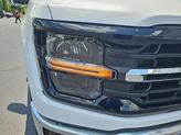 Thumbnail of 2025 Oxford White Ford F-150