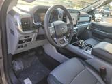 Thumbnail of 2025 Gray Ford F-150