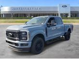 Thumbnail of 2025 Glacier Gray Metallic Tri-Coat Ford F-250