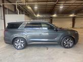 Photo of 2021 Rainforest Hyundai PALISADE