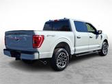 Thumbnail of 2023 Avalanche Ford F-150