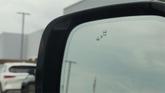 Thumbnail of 2021 Aspen White Nissan Armada