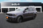 Thumbnail of 2025 Metal Kia Telluride
