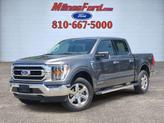 Photo of 2023 Gray Metallic Ford F-150