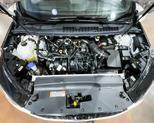 Thumbnail of 2024 Star White Ford Edge