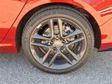 Thumbnail of 2025 R-568p/Performance Acura TLX