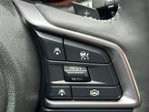 Thumbnail of 2025 Gray Subaru Outback