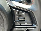 Thumbnail of 2025 Gray Subaru Crosstrek