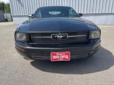 Thumbnail of 2005 Black Ford Mustang