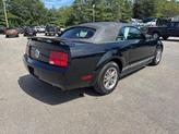 Thumbnail of 2005 Black Ford Mustang