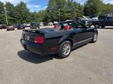 Thumbnail of 2005 Black Ford Mustang