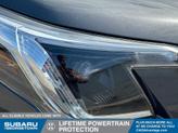 Thumbnail of 2022 Magnetite Gray Metallic Subaru Forester