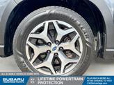 Thumbnail of 2022 Magnetite Gray Metallic Subaru Forester