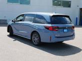 Thumbnail of 2025 Gray Pearl Honda Odyssey