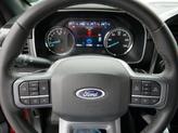 Thumbnail of 2023 Race Red Ford F-150
