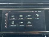 Thumbnail of 2022 Florett Silver Metallic Audi Q7