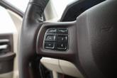 Thumbnail of 2015 Western Brown RAM 1500