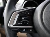 Thumbnail of 2019 Champagne Subaru Outback