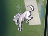 Thumbnail of 2024 Eruption Green Metallic Ford Bronco