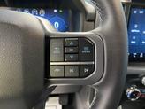 Thumbnail of 2025 Agate Black Metallic Ford F-150