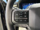Thumbnail of 2025 Agate Black Metallic Ford F-150