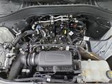 Thumbnail of 2021 White Ford Explorer