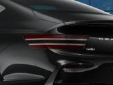 Thumbnail of 2025 Vik Black Genesis G80