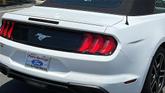Thumbnail of 2023 Oxford White Ford Mustang